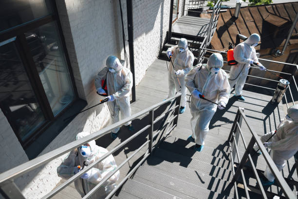 Best Mold Damage Restoration  in Dunlap, IN