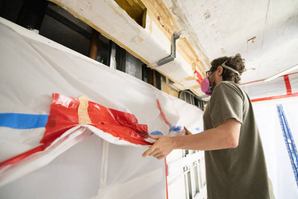 Best Attic Mold Removal  in Dunlap, IN
