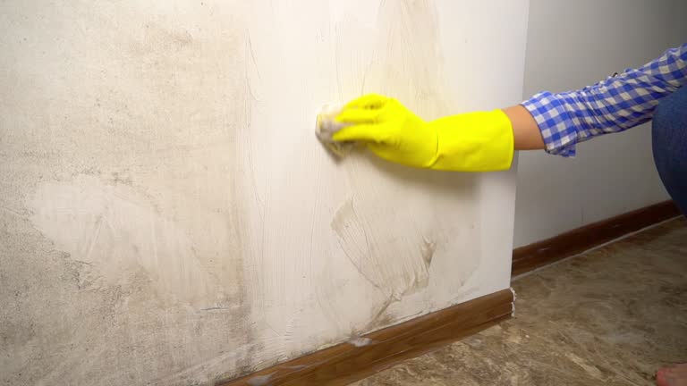 Best Commercial Mold Inspection  in Dunlap, IN