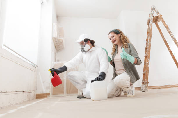 Professional Mold Removal in Dunlap, IN